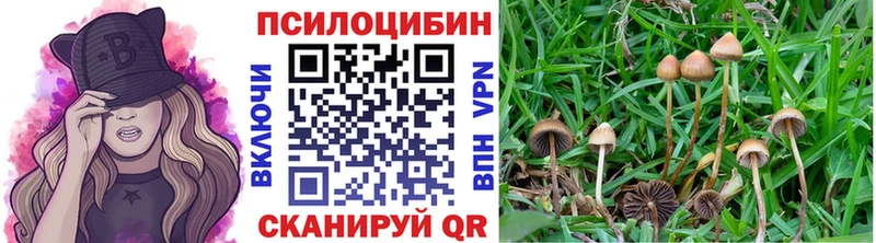 Галлюциногенные грибы прущие грибы  Купить закладки  Октябрьский 